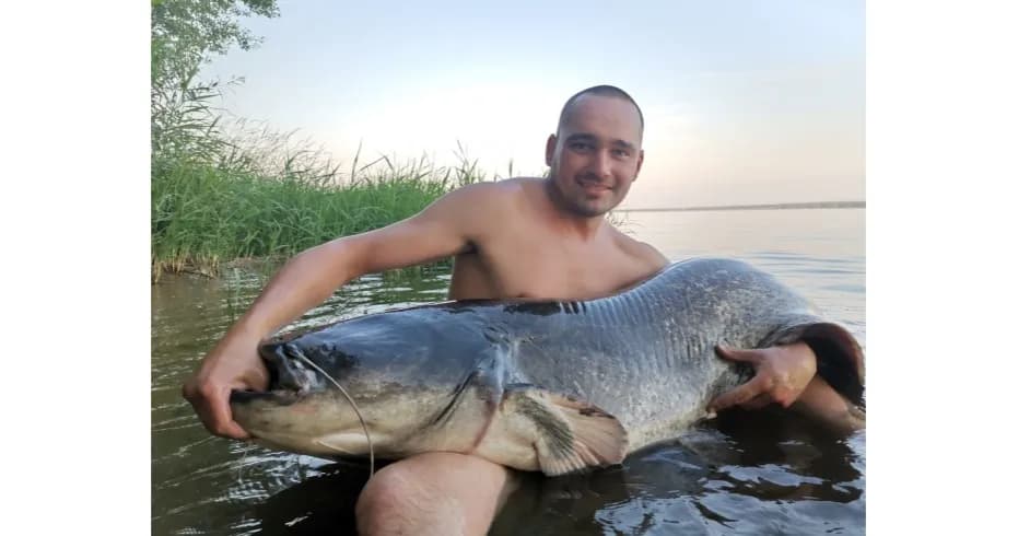 Na co złapać suma z gruntu - skuteczne przynęty i techniki łowienia