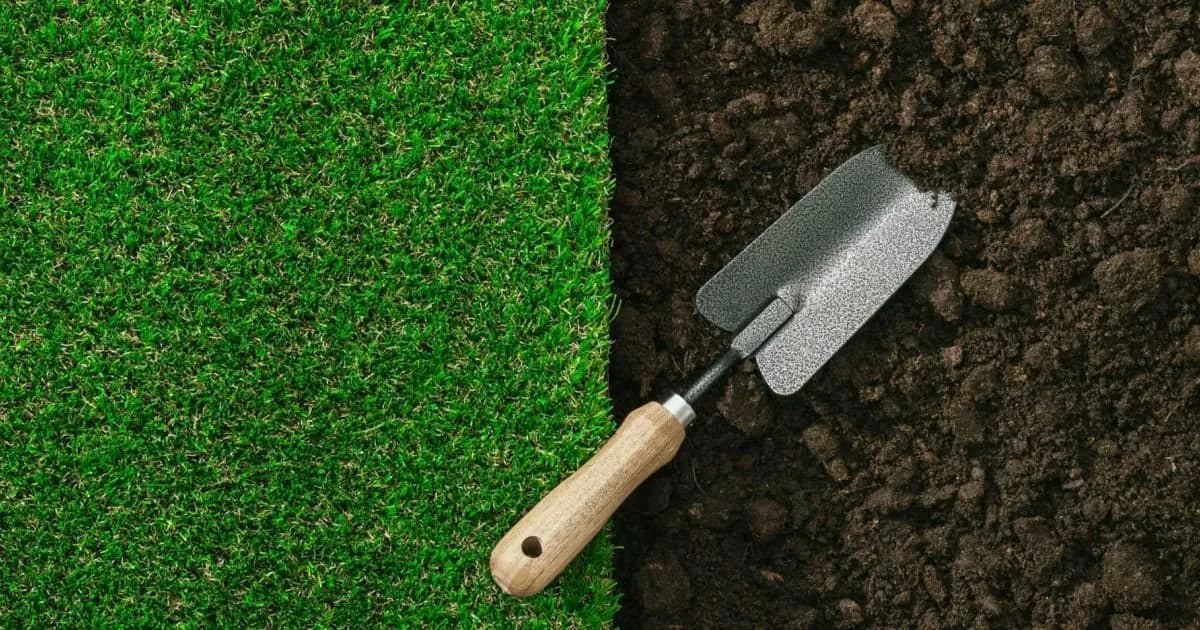 Jak założyć trawnik na chwastach i uniknąć problemów z pielęgnacją