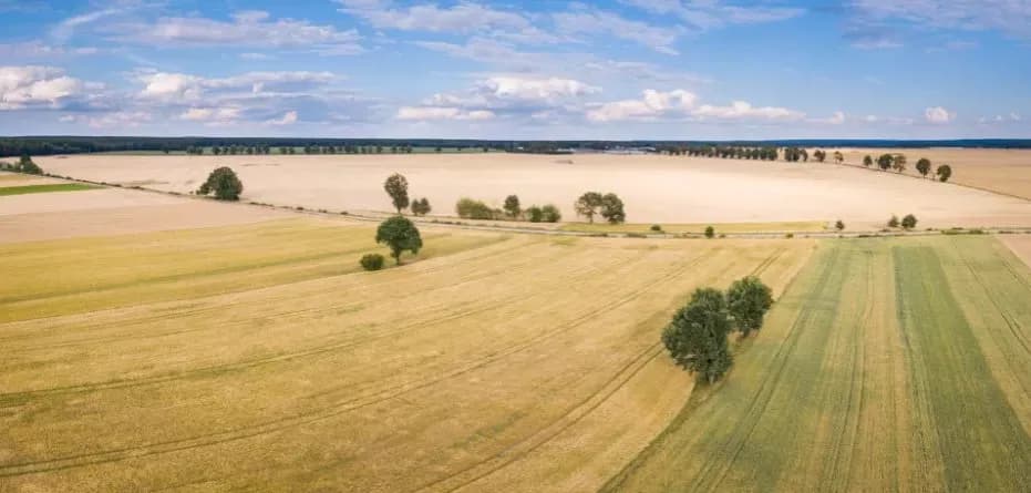 Ile kosztuje dzierżawa gruntu od miasta? Ceny, które zaskakują