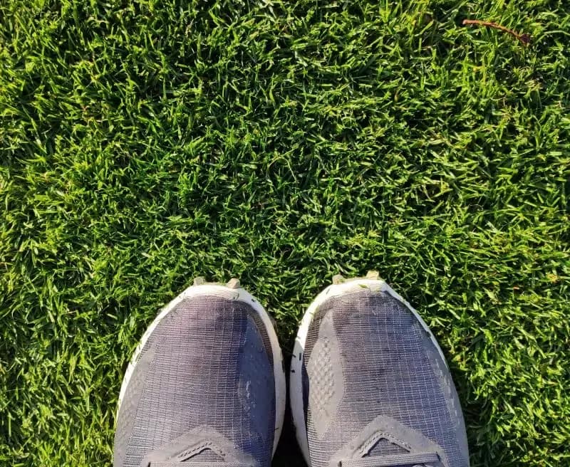 Kiedy pierwsze nawożenie trawnika? Oto kluczowe informacje na wiosnę