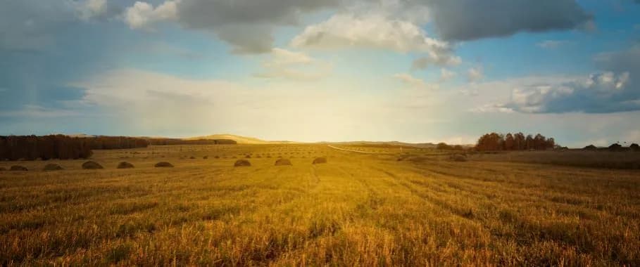 Czy można zasiedzieć grunty skarbu państwa? Sprawdź zasady i ograniczenia