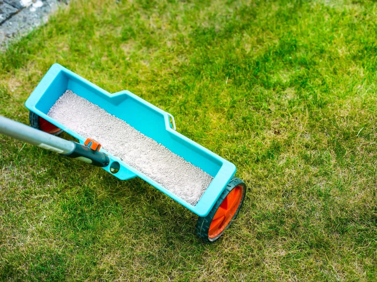 Jaki nawóz na trawnik jesienią, aby uniknąć zimowych problemów?