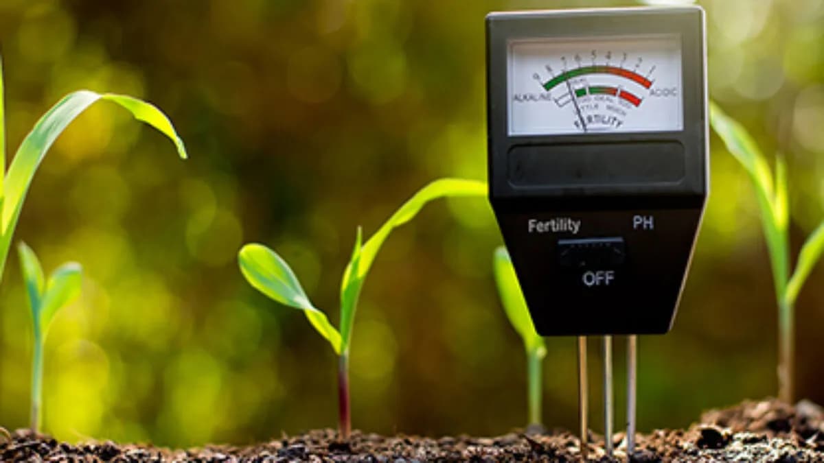 Jak zmierzyć pH gleby? Proste metody, które dają dokładne wyniki