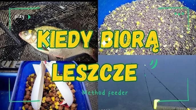 Kiedy na leszcza z gruntu? Odkryj najlepsze miesiące na łowienie