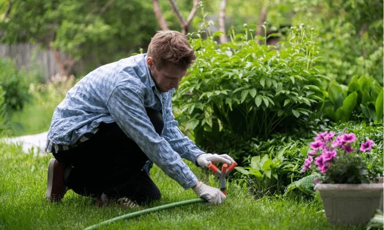 Trawniki jak założyć: uniknij najczęstszych błędów i ciesz się zielenią