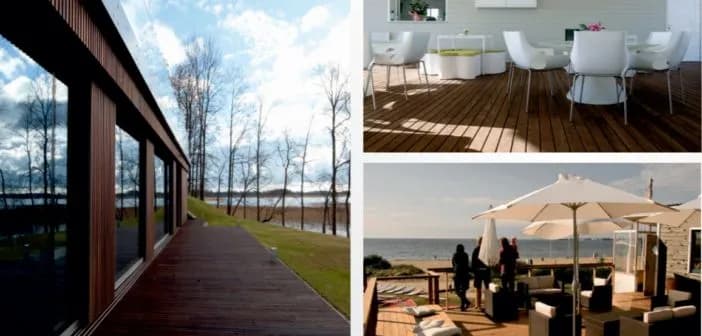 Modrzew czy sosna na taras - wybierz najlepsze drewno dla siebie